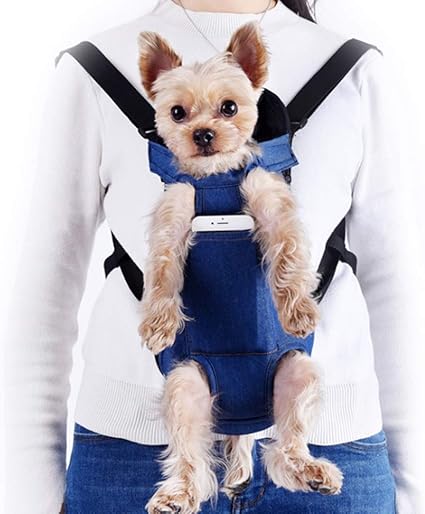small dog chest carrier