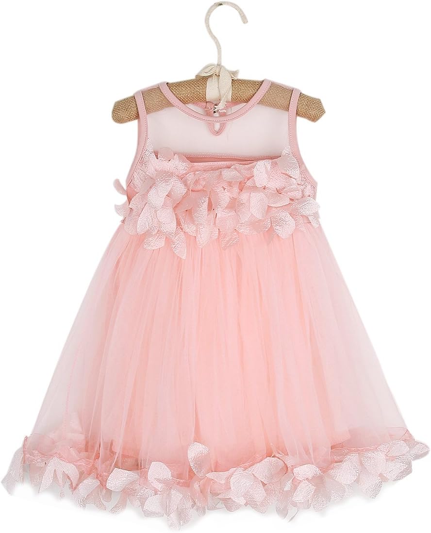 1-6T Kids Girls Mesh Tulle Skirt Dress for Birthday Flower Girl Special Occasion Light Pink