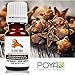 Clove Bud Essential Oil 10 ml (0.33 fl. Oz.) - GCMS Tested, 100% Pure, Undiluted and Therapeutic Grade