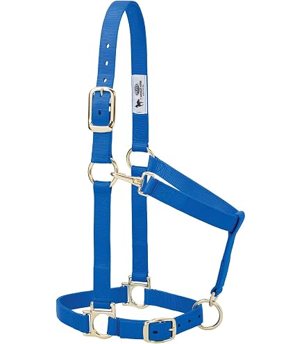 Weaver Equine Padded Adjustable Chin & Throat Snap Halter