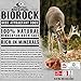 Mossy Oak BioLogic Deer Attractant Bio Rock - 100% Natural Himalayan Rock Salt - Deer Love to Lick | 8 LBS