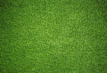 Amazon Com Laeacco Artificial Green Grass Backdrop 10x6 5ft Lawn Plastic Turf Backgroud Synthetic School Yard Football Playgroud Kid Newborn Baby Photo Potraits Artistic Studio Props Camera Photo Amazon Com Laeacco Artificial Green Grass Backdrop 10x6 5ft Lawn Plastic Turf Backgroud Synthetic School Yard Football Playgroud Kid Newborn Baby Photo Potraits Artistic Studio Props Camera Photo