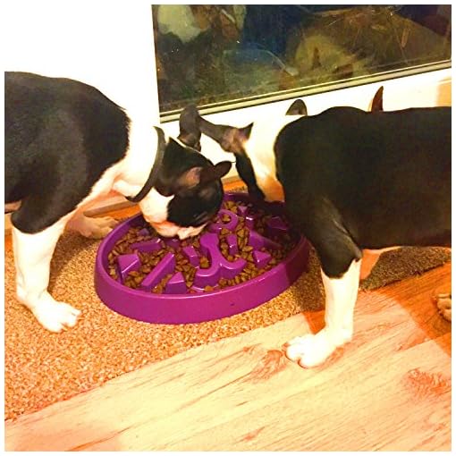 Slow Feed Cat Bowl Small breed dog feed bowl Slow Feed Bowl For