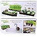 Window Garden Microgreen Tray with Fiber Soil and Spray Bottle - Grow Seeds to Fresh Greens - Growing Microgreens, Wheatgrass, Succulents with Style - Multi-Use Acrylic Planter - 15 x 6 x 2 inches