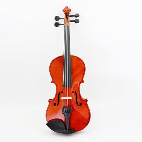 Amazon Andoer Violin 高品質 バイオリン フィドル スチール弦 バスウッド ５サイズ選択可能 4 4 3 4 1 2 1 4 1 8 音楽 教育 知育 弦楽器 子供 初心者 中級者 上級者まで対応 並行輸入品 バイオリン 楽器