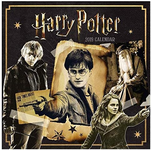 Official Harry Potter Hogwarts 2019 Calendar (Full Colour 305mm x 305mm)