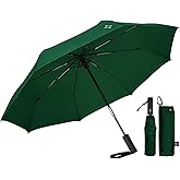 LILAC Travel Umbrella for Rain - Windproof Compact Folding Umbrella with 43" Canopy - Auto Open Close Portable Parasol - UPF 100+ Sun Protection