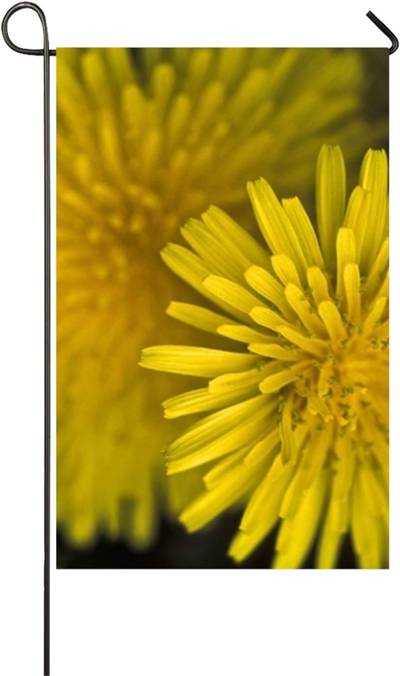 WilBstrn Dandelion Flower Welcome Home Flag Seasonal Garden Flags for Outdoors Yard Double-Sided