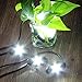 Rock Lights, Off road Lights with 4 Pods CREE LED and Extended wire ( 87