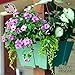 Adjustable Hanging Planter: Modern, Space Saving Square Container for Flowers and Herbs. Design Outdoor Vertical Gardens on Porch Posts, Patios, Pergolas and More.thumb 2