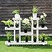 Giantex Rolling Flower Rack Wood Plant Stand on Wheels 6 Wood Shelves 12 Pots Bonsai Display Shelf Indoor Outdoor Yard Garden Patio Balcony Living Room Storage Rack Bookshelf Hollow Shelves (White)