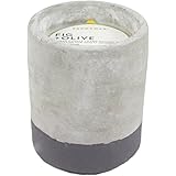 Paddywax Urban Collection Scented Soy Wax Candle, 3.5-Ounce, Fig & Olive