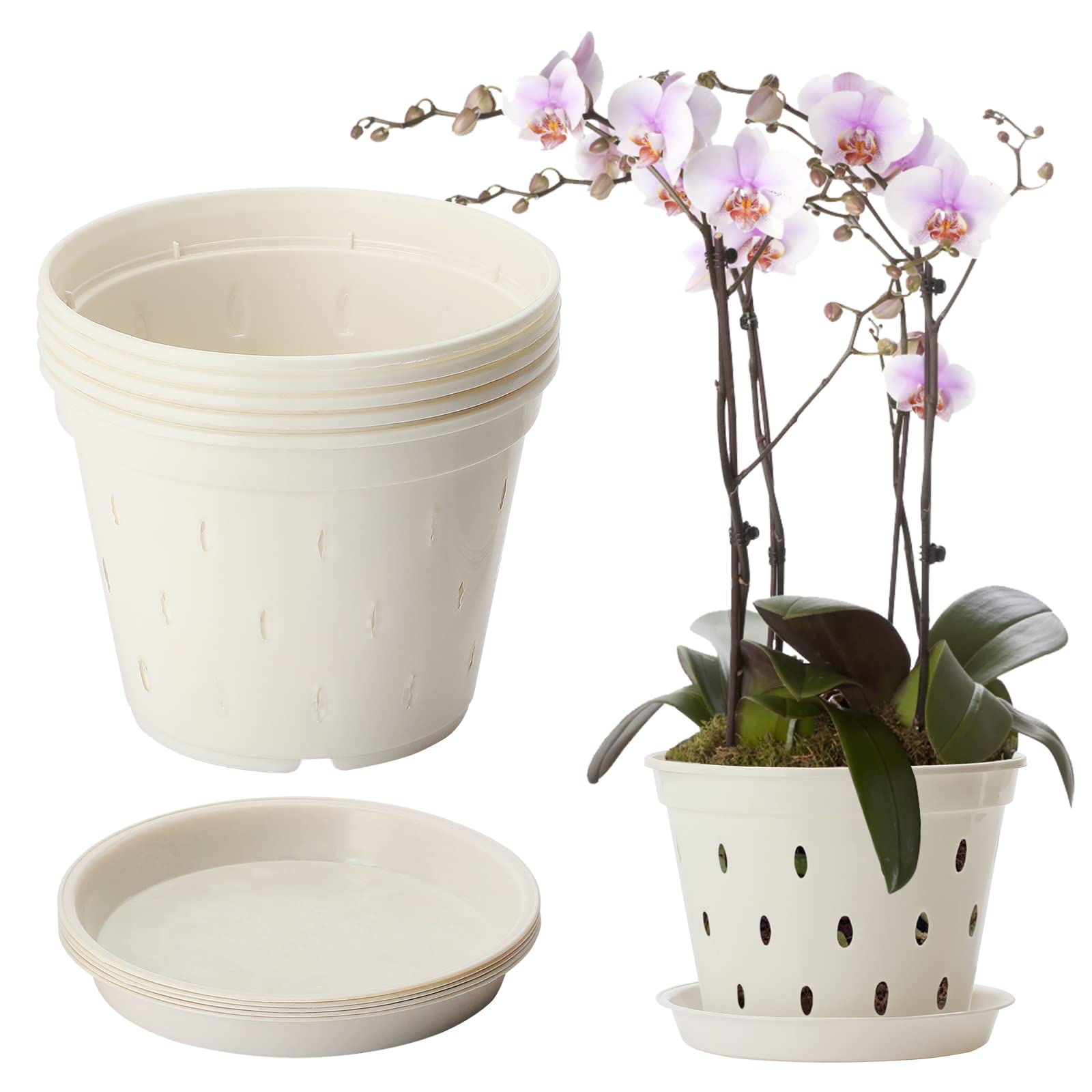 BestAlice 5 Pack Orchid Pots, 5.6 Inch with Holes and Saucers, Clear Plastic for Plant and Repotting, Garden Planters for Home Office
