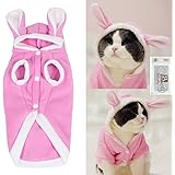 amazon cat dress