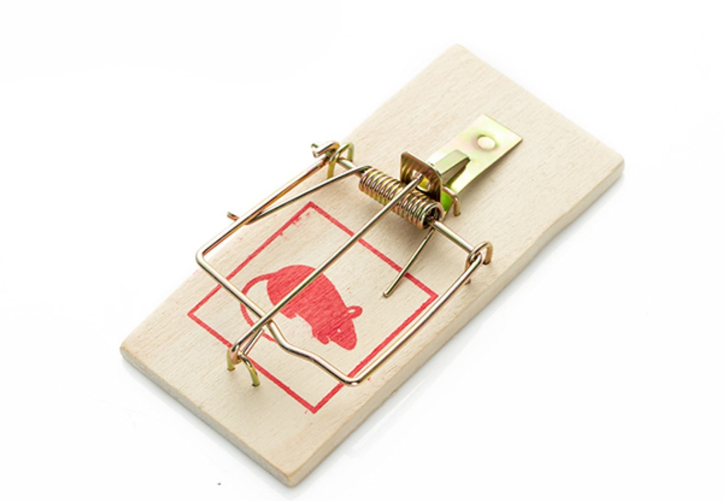 8PK Traps | Durable Wood for protecting Your Home from Pests Suitable for Larger Violations | Includes Pest Control Ebooks