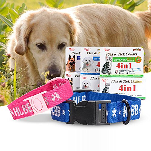 Pet collar natural pest control collar for small dogs and cat can kill parasites (For Dog)