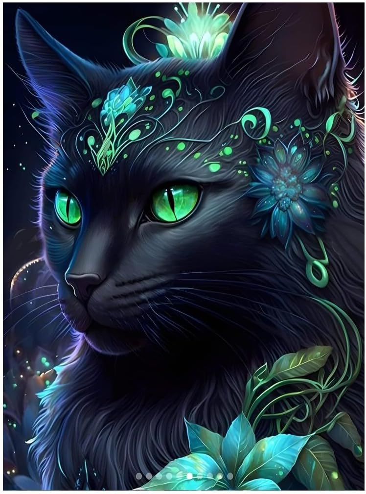 Tomoyuki 5D Diamond Art Kit Black Cat Diamond Painting DIY Pictures