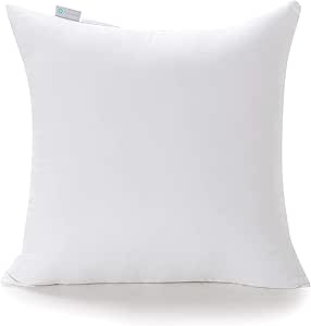 acanva pillow