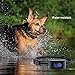 NO SHOCK Rechargeable Water Resistant Bark Collar for 4-120lb dogs, Extremely Effective No Bark Collar with no pain or harm, 7 Different bark sensitivity levels, Bark Collar Small Dog to Large Dog.