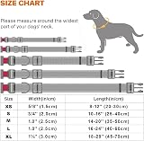 Taglory Reflective Nylon Dog Collar with Safety Buckle Medium Grey view 6