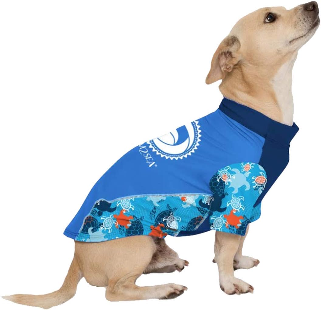 cat exercise wheel reddit