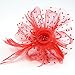 FeiYu Crafts Penny Mesh Hat Fascinator with Mesh Ribbons and A-Red Feathers(A-Red)