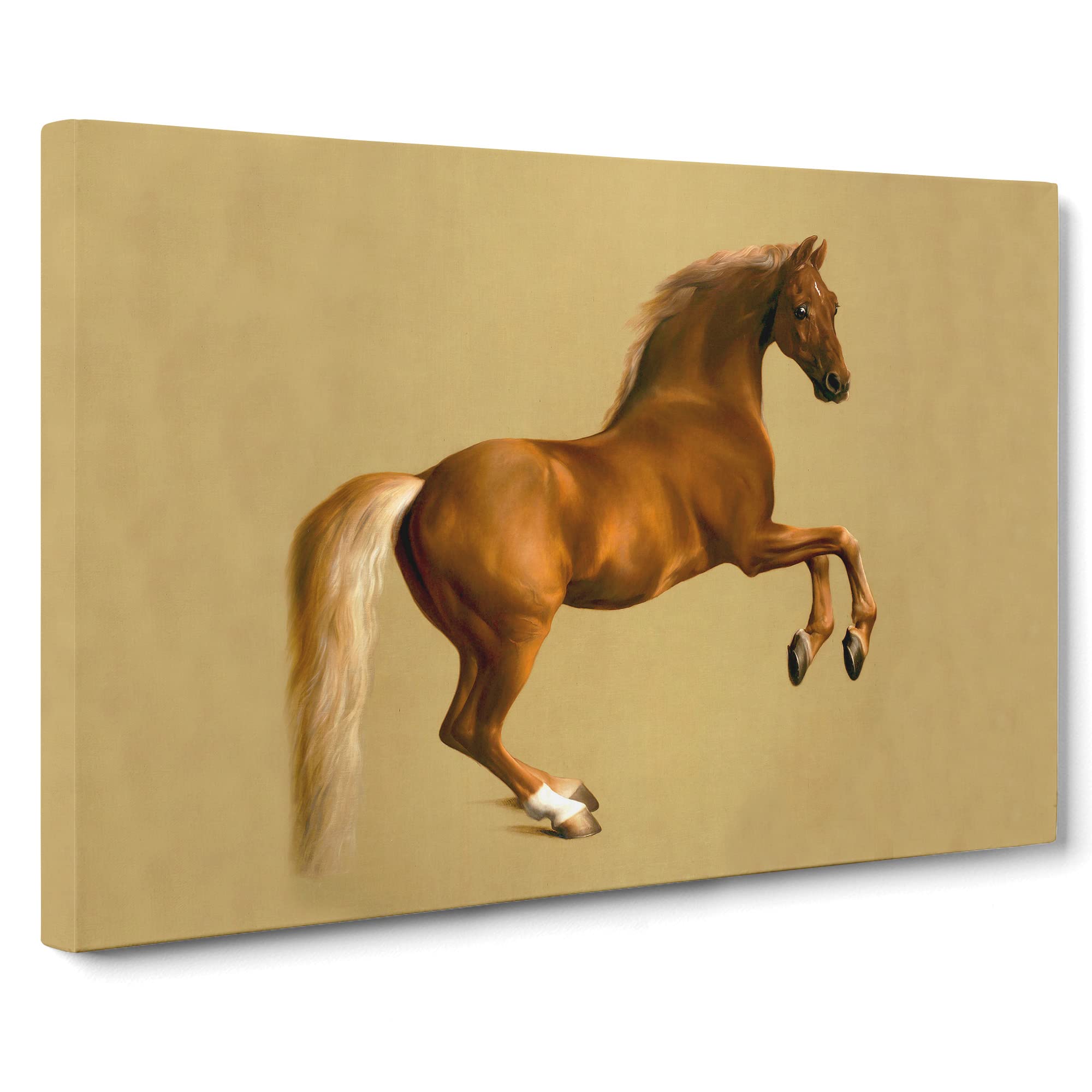 Whistlejacket By George Stubbs Canvas Print | Gallery Wrapped 30mm Frame Wall Art | 20x14 inches | Ready to Hang | Classic Picture | Living Room Bedroom Lounge Office
