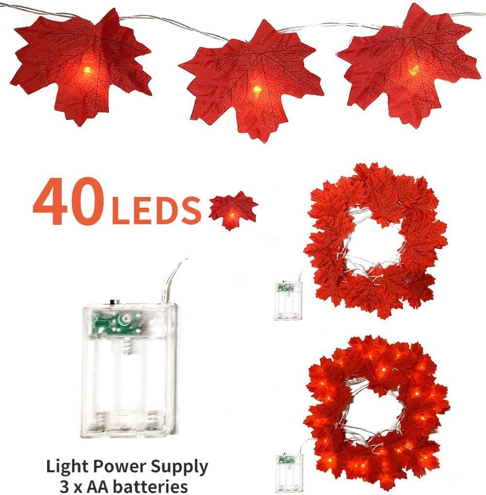 Maple Leaf Lights - Image 4