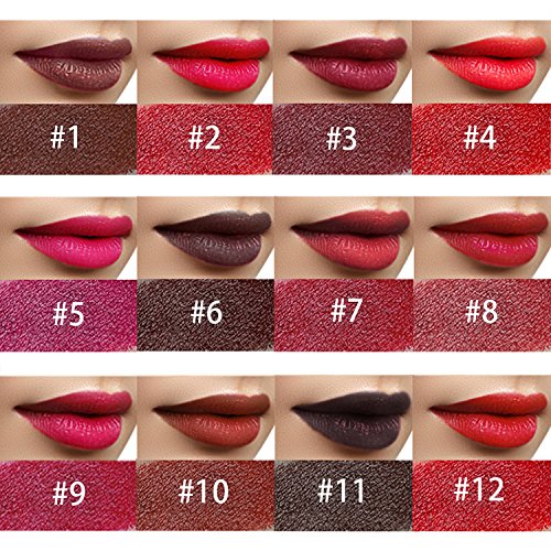 Mua Lipstick Popular Lip Gloss Moisturizing Lipstick Red Matte Rouge 12 Colors Lipstick Long Lasting Waterproof Durable Popular Color Lipstick Wine Pink Cute Lip Cream Colored Popular Rankings Lipstick Brush Lip Gray