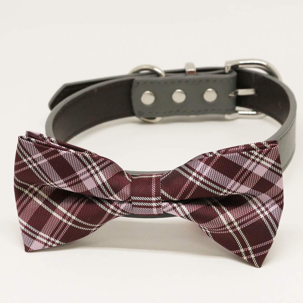 burgundy leather dog collar