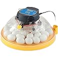 Brinsea Maxi II Eco Manual Egg Incubator with Electronic Temperature Control, Fan Assisted Air Circulation for Hatching 30 Chicken, Duck, or Other Eggs, Ideal for Beginners