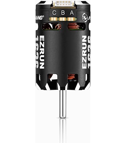 マイクロビースト MICROBEAST