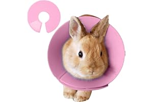 Bird Cone Collar,Soft Hamster Anti Licking Recovery Collar | Anti-Bite Small Animals Neckwear for Hair Loss Prevention Cat Bu