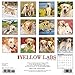 Just Yellow Labs 2017 Wall Calendar (Dog Breed Calendars)
