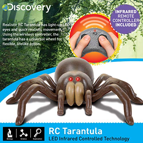 Discovery Kids RC Moving Tarantula Spider, Wireless Remote Control Toy for Kids, Great for Pranks an - //coolthings.us