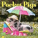 Pocket Pigs Wall Calendar 2016: The Famous Teacup Pigs of Pennywell Farm by