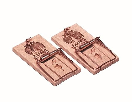 Luna Mäusefallen (10 Stück)