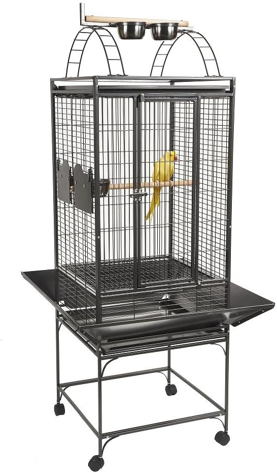 Rainforest Valencia Play Top Parrot Cage free delivery Amazon.co.uk