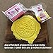 Madame Loulou Rolled Fondant 2.5lb Creativity Packs, Professional Quality, 8 Colors (Rainbow Prism Pack)