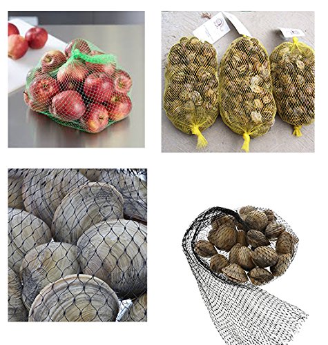 AVIRGO Food and Seafood Storage Plastic Mesh 45x35 cm 18x14 inch Set of 100 pcs Green