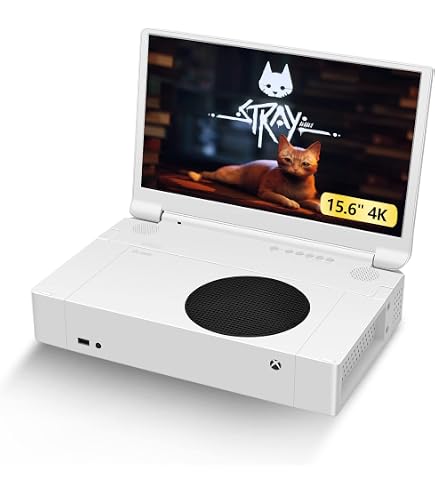 Amazon.com: G-STORY 17.3 Portable Monitor 240Hz Laptop Monitor