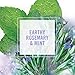 Herbal Essences Naked Cleansing Conditioner 16.9 Fl Oz,