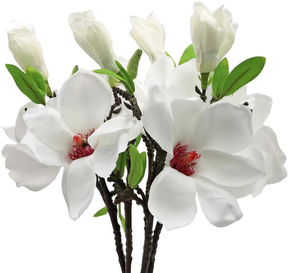 MINYULUA 5PCS Artificial Magnolia Flowers Silk White Magnolia Flowers Realistic Silk Flower Bouquet for Home Table Store Floral Arrangements Wedding Holidays Party Decor