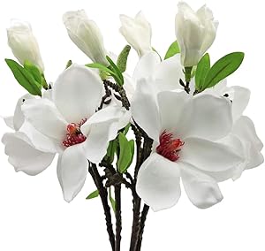 MINYULUA 5PCS Artificial Magnolia Flowers Silk White Magnolia Flowers Realistic Silk Flower Bouquet for Home Table Store Floral Arrangements Wedding Holidays Party Decor