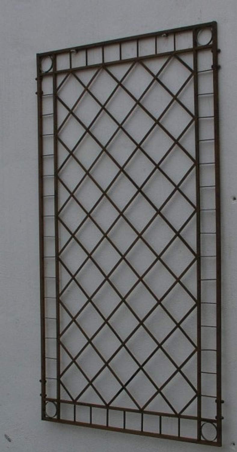 Metal Iron Trellis Climbing Trellis WallMounted Grill Meran 100 / 240