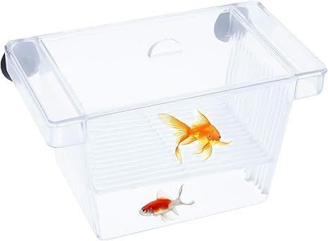 Amazon Co Jp Bhjdok 魚 エビ 繁殖隔離ボックス 水族館 孵化 産卵箱 繁殖水槽 飼育箱 稚魚分離 稚魚保護 攻撃を防ぐ 金魚 熱帯魚 フロートボックス 水族館アクセサリー ホーム キッチン