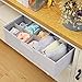 MEÉLIFE Foldable Fabric Underwear Organizer Bras Storage Box,Clothes Storage Drawer Basket Bins Containers with Lids Divider for Apparel Garments Socks Ties Scarves (Light Gray)