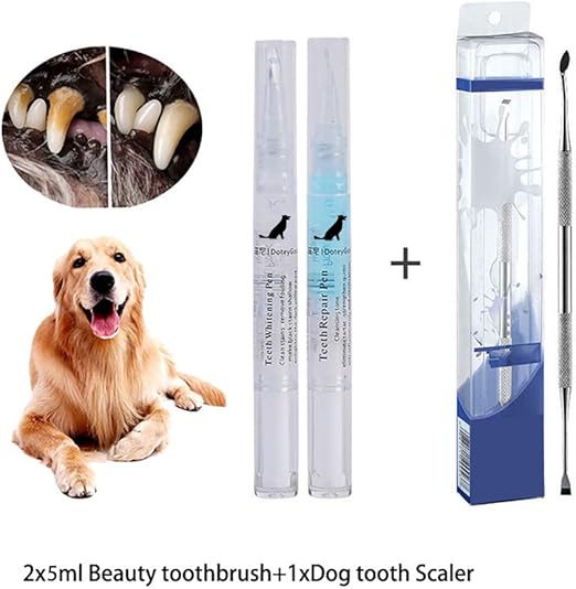 dog toothbrush target