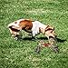 LECHONG Dog Toys - Dog Rope Toys for Aggressive Chewers Nearly Indestructible Cotton Rope Dog Chew Toys Tug of War Dog Toy for Medium and Large Breed Teeth Cleaning