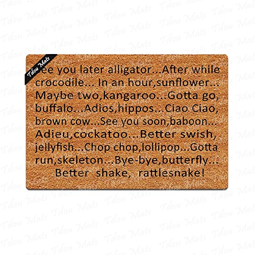 Tdou What On Earth See You Later Alligator Doormat Doormat Entrance Floor Mat Funny Doormat Door Mat Decorative Indoor Outdoor Doormat 23 6 By 15 7 Inch Buy Online In Barbados At Barbados Desertcart Com Productid